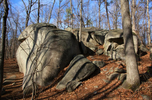 Boat Rock Preserve